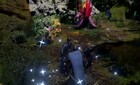 Ashes of Creation Gold: Secrets to Gold Farming Success