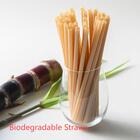 The Art of Eco-Manufacturing: Soton's Innovative Straw Producti